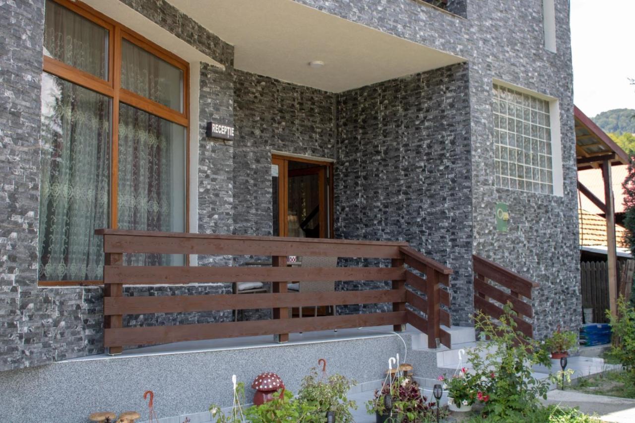 Pensiunea Ricky Căpăţîneni-Ungureni Exteriér fotografie
