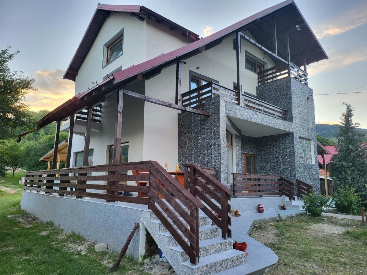 Pensiunea Ricky Căpăţîneni-Ungureni Exteriér fotografie