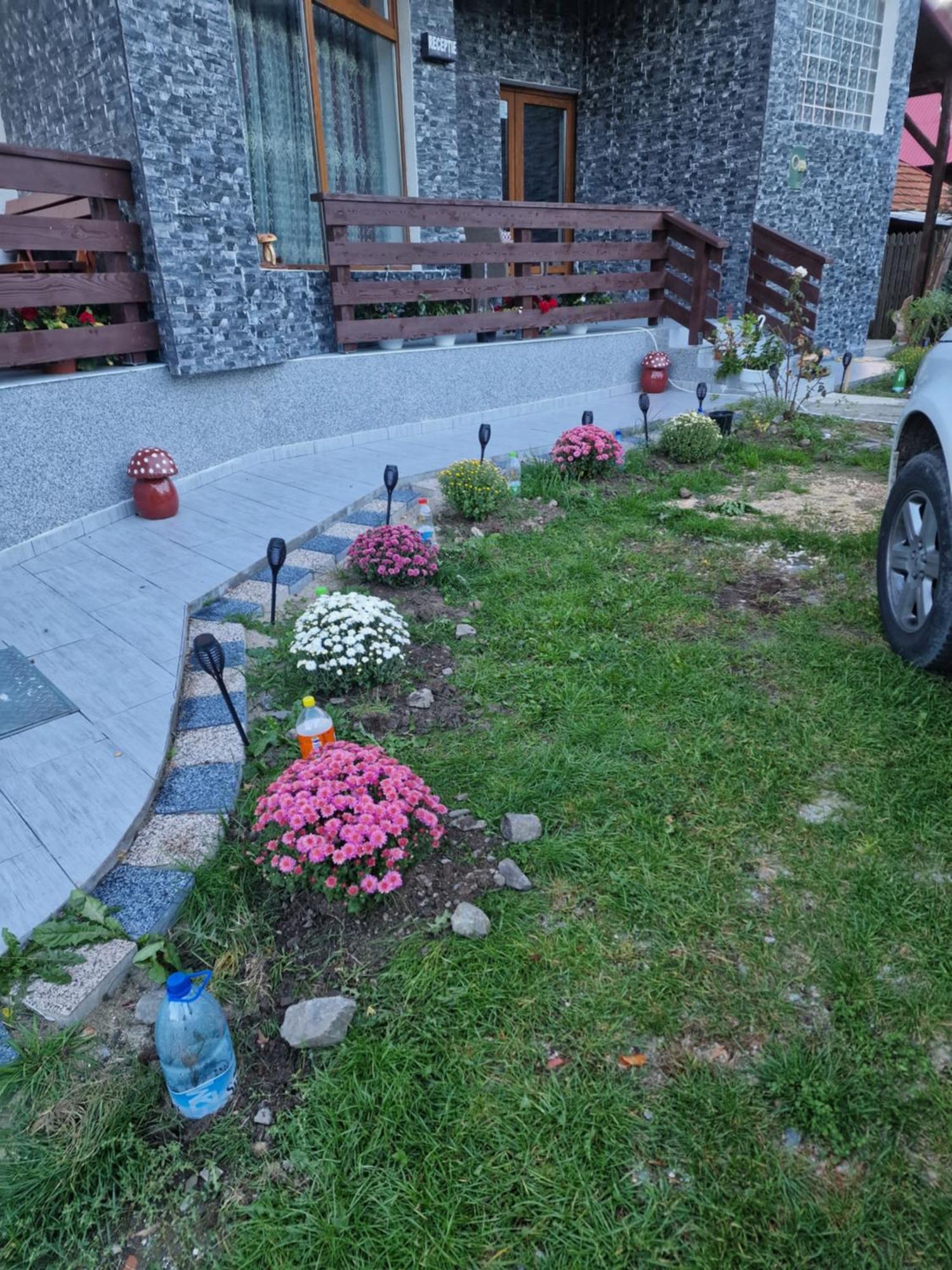 Pensiunea Ricky Căpăţîneni-Ungureni Exteriér fotografie