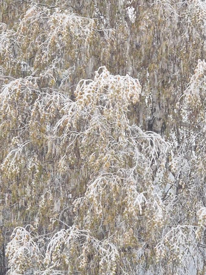 Pensiunea Ricky Căpăţîneni-Ungureni Exteriér fotografie